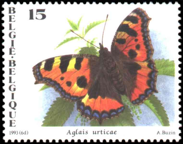 Aglais urtica