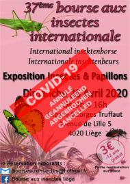 Liege 2019